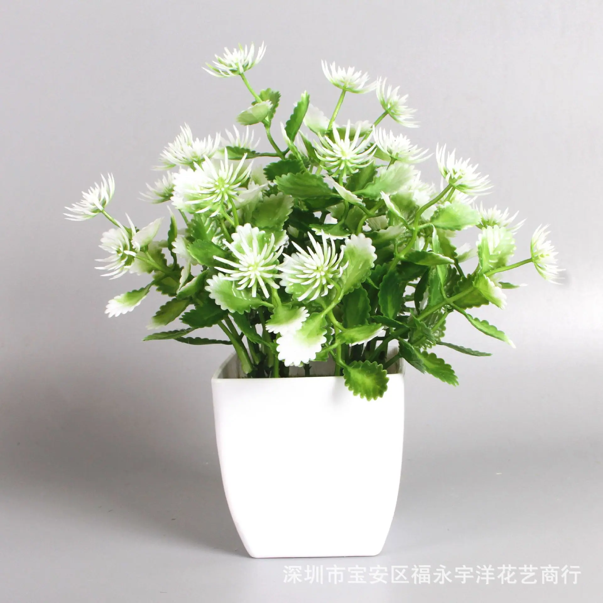 IMG_0834_副本.jpg