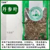 Hojas Puras de Medicina Herbal China Silvestre de Salvia Miltiorrhiza, Hojas Puras de Salvia Miltiorrhiza, Medicina de Raíz Roja, Tres Pares de Hojas de Medicina Herbal China al por Mayor