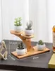 Suporte de Planta Suculenta para Peitoril de Janela, Combinação de Prateleira Decorativa de Armazenamento de Bambu Multicamadas para Interior, Mesa, Varanda, Suporte Grande para Plantas, Prateleira em Galho de Árvore