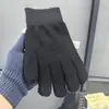 Guantes Calientes de Invierno para Estudiantes, Estilo Coreano, Sencillos, de Terciopelo y Engrosados, Guantes de Algodón a Prueba de Frío con Pantalla Táctil de Cinco Dedos para Hombres y Mujeres