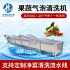 Máquina automática de limpieza de frutas y verduras con burbujas máquina limpiadora de colza espinacas línea de montaje de limpieza grande de acero inoxidable
