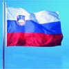 En stock bandera de Eslovenia de 90 * 150 cm 3 * 5 pies No. 4 poliéster bandera Vlajka Slovinska