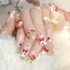 Productos de Uñas Portátiles Gato de Dibujos Animados Lindo Parches para Uñas Postizas Manicura con Estampado de Leopardo Parches para Uñas con Lazo Venta al por Mayor B10