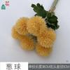 Bolas de Cebolla Bolas de Diente de León Adornos para el Hogar Flores de Simulación de Ajuste Suave Accesorios para Sesión de Fotos Flores para Sostener Flores Falsas