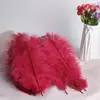 30-35cm Plumas de Avestruz Lámpara de Plumas Arreglo Floral de Plumas de Avestruz Plumas de Boda