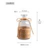 Vaso de vidro criativo simples com corda de cânhamo transparente para flores hidropônicas plantas verdes arranjo de flores para sala de estar decoração de casa ornamentos atacado