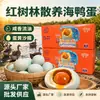 Huevos de pato marino salvaje de manglar de Northern Bay, listos para comer, con yema densa y aceitosa, disponible caja de regalo, producción personalizada desde la fábrica de origen, disponible OEM