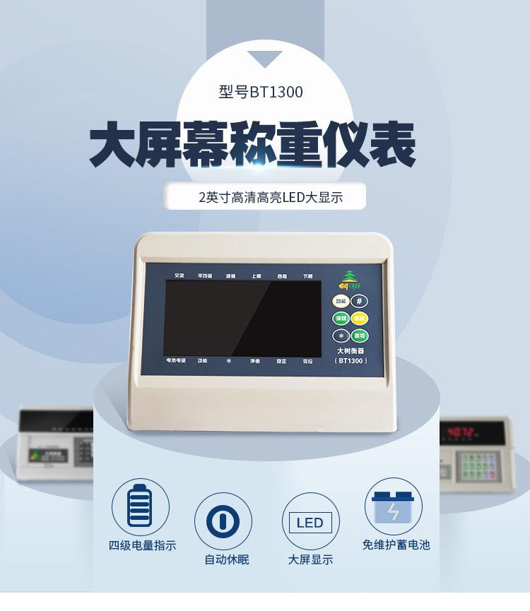 BT1300仪表详情页_01.jpg