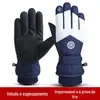 Luvas de Esqui para Homens e Mulheres no Inverno, Quentes e de Veludo, Toque para Tela Esportiva, Impermeáveis e à Prova de Vento para Exterior, Luvas de Neve para Passeio, Casal