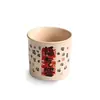 Cinza de Planta Estilo Retrô Caneca de Coca-Cola Escrita à Mão Xícara de Chá Cerâmica Caneca Única Doméstica Especial Pessoal Conjunto de Chá Kung Fu