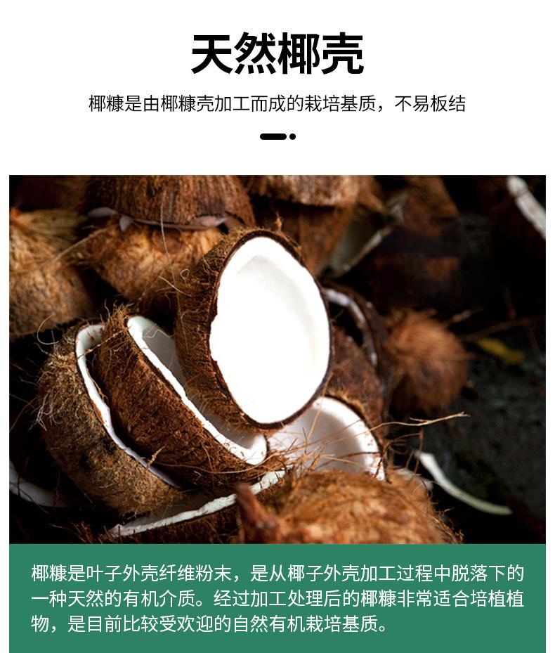 方形椰砖_03
