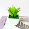 Suministro Directo de Fábrica de Plantas Suculentas Artificiales en Maceta, Suministros Creativos para Diseño DIY, Adornos de Flores Artificiales en Maceta, Suministro Transfronterizo