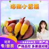 Seleção PremiumBatatas Doces de Hainan - Mini Batatas Doces Frescas para Entrega