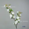 Camelia de Rama Larga Simulada Decoración Suave para el Hogar Flor de Margarita Pequeña Artificial Decoración Fresca de Mesa de Hotel Flor de Seda Venta al por Mayor y al por Menor