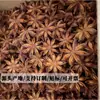 Especia de Anís Estrellado para Guisos y Carnes Estofadas, Anís Estrellado Disponible para Empaque Mayorista, Canela de Guangxi, Colección Completa de Hojas Aromáticas