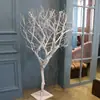 Decorações de Galhos Secos, Galhos Mortos para Decoração de Interiores, Decorações de Árvores para Janelas, Decorações de Troncos de Árvore, Árvores Mortas Estilo Zen, Galhos e Gravetos Secos