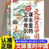 Cultura Chinesa em Contexto: Livros Didáticos Autênticos e Envolventes em Formato de Gibi Cobrindo Conhecimento Literário, Conhecimento Cultural e Pontos de Exame