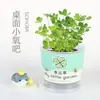 Mini Caixa Surpresa de Plantio, Mini Bar de Oxigênio de Mesa, Rega e Florescimento de Plantas Pequenas, Plantas em Vasos Pequenos, Plantas em Vasos de Escritório