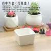 Mini Maceta Pequeña Fresca Pastoral Plantas Suculentas Porcelana Blanca Maceta de Porcelana Maceta de Cerámica Gato Carnoso Bandeja con Base de Bambú con Agujeros