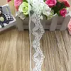 Suministro puntual de accesorios para prendas de encaje de Fujian encaje 449# ancho 3.5cm