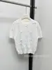 Roupas Femininas de Alto Padrão Transfronteiriças 26 Nova Coleção Primavera/Verão Gola Redonda Tricô Manga Curta Vazado Design de Laço Tridimensional Versátil e Fashion
