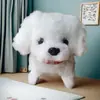 Cachorro de Brinquedo Elétrico Pelúcia para Crianças, Corgi Ursinho Realista que Anda e Late, Adequado para 1-3 Anos, Brinquedo Transfronteiriço