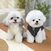Ropa para Mascotas para Perros y Gatos, Nuevo Abrigo Grueso de Dos Piernas Otoño e Invierno para Cachorros, Teddy, Bichón, Pomerania, 26 Elegante Abrigo de Algodón Gris