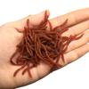 Taiwan pesca Luya com cheiro de peixe 4cm simulação verme macio vermelho quatro minhoca verme vermelho granel Isca macia isca Luya atacado
