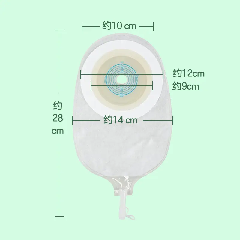 8031
