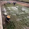 Tapetes de Plantación Suministrados Directamente, Tapetes de Césped para Plantas Acuáticas, Tapetes de Césped para lecho de Río Ecológico Artificial de Bosque Submarino