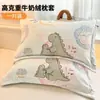Funda de Almohada de Terciopelo de Leche Engrosada 48X74cm Paquete Doble Invierno para Niños y Adultos Funda Interior para Almohada Individual del Hogar