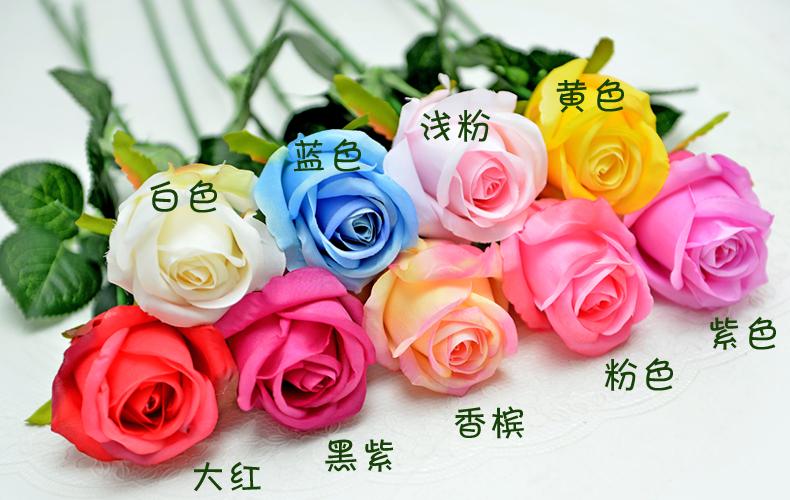 颜色分类 拷贝.jpg