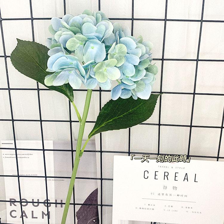 QQ图片20200609120045