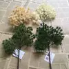 Flor Artificial Rama Única 28 Ramas Pino del Dinero Pino de Belleza Pino Arhat Planta Verde Pino Árbol Adorno Decoración del Hogar Flor Artificial