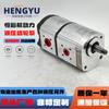Bomba de engranajes Hengyuhang reemplazo rexile Rexroth bomba de engranajes dúplex 1518222961 bomba hidráulica