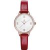 SHENGKE SHENGKE K8060 relógio simples e elegante pulseira escala de prego movimento à prova d'água fabricante