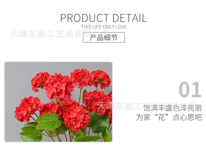 详情_09.png