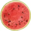 Manta grande de panqueque, manta divertida de panqueque, manta de pizza de panqueque, manta de col, manta de forro polar, manta para habitación con aire acondicionado, manta para siesta en la oficina