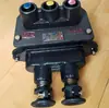 Botón de Control Intrínsecamente Seguro para Minas de Carbón, Interruptor Pulsador Antiexplosivo, Sensible e Impermeable para Operación de Arranque-Parada de Equipos