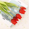 Flor Artificial de Tulipa de Botão de Alta Qualidade Transfronteiriça Buquê Amarrado à Mão Sala de Estar Mesa de Centro Decorativa 5 Tulipas