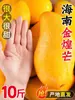 Manga Hainan Jinhuang 5kg Fruta Tropical Fresca Manga Narciso Sazonal Manga Namoradinha Especial Caixa Fechada Frete Grátis