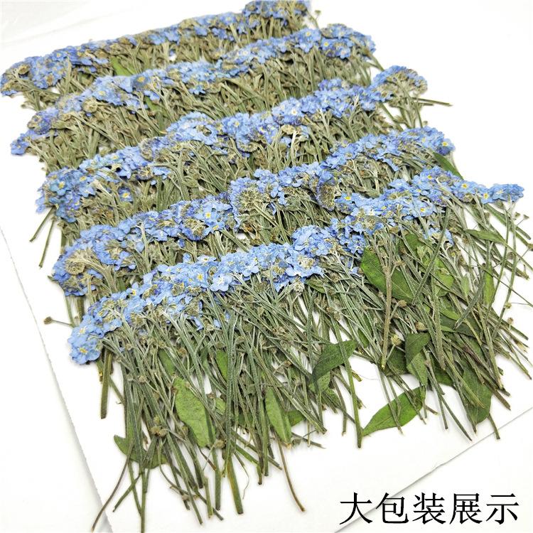 IMG20190623100333