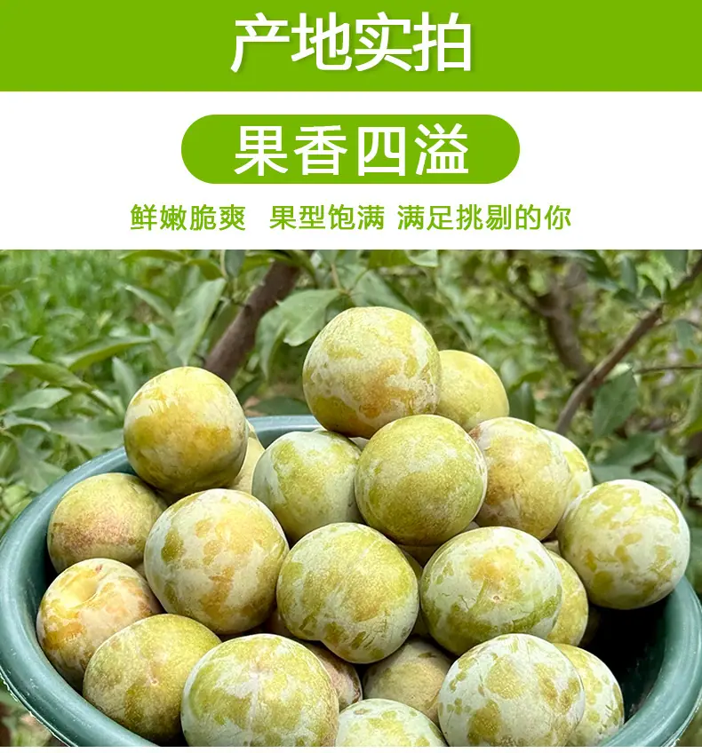 新疆味帝李恐龙蛋李子详情图7