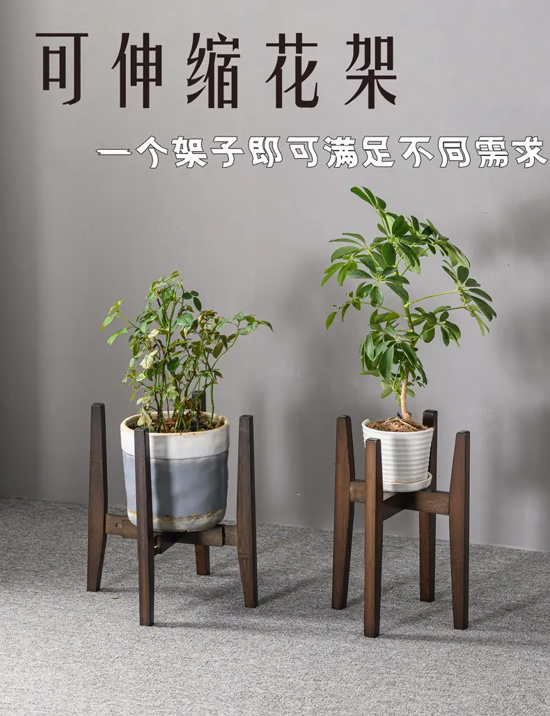 详情1.jpg
