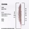 [Desconto de grande quantidade] Fabricantes de Yunnan spot atacado cor ferro Reed pampas capim decoração de casamento em casa