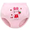 Roupa Íntima de Algodão Puro Dragãozinho Verde Cuecas para Meninos e Meninas Roupinha para Bebês e Crianças Shorts Tipo Pão Classe A