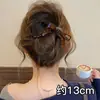 Presilha de Garra de Abalone Exquisita de Alta Qualidade para Mulheres, Grampo para Parte de Trás da Cabeça com Parte de Trás Plana, Confortável de Usar, Presilha para Cabelo Liso, Acessório de Cabelo Versátil
