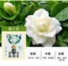 Aromaterapia para Carro Fragrância de Frutas Novo Perfume de Alto Padrão do Jardim para Mulheres no Carro, Fragrância de Longa Duração para Homens para Eliminar Odores