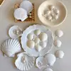 Conchas blancas naturales, conchas Xia Yi, ramos de flores, accesorios decorativos, suministros para floristería, arte floral, materiales para manualidades al por mayor