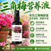 Fertilizante Especial para Floração de Buganvílias Promove Floração Floração Abundante Quatro Estações Estimula Floração Plantas de Vaso Buganvílias Solução Nutritiva